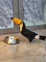 -Zoolung Zoolung动物主题公园(海信广场店)