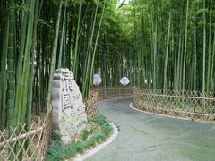 -陈家山荷花公园