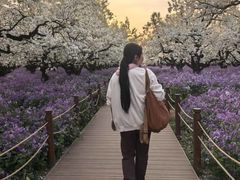 -江苏三台山国家森林公园