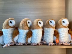 -ZOO COFFEE动物园咖啡(望京锐创店)