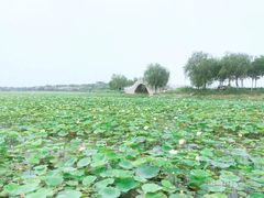 -天津东丽湖风景区