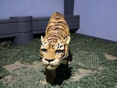 -鄱阳湖国家湿地公园