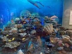 -浙江自然博物院(杭州馆)