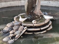 -西安大兴善寺