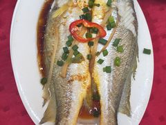 -蛇口康乐快餐鱼仔档(翠苑小区店)