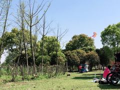 -梁鸿国家湿地公园