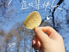 -东湖生态旅游风景区