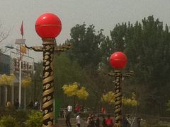 -白洋淀景区