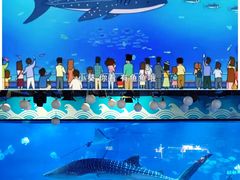 -烟台海昌鲸鲨海洋公园