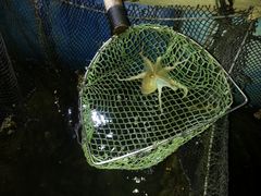 船四周的海鲜-海上驿站渔家菜馆