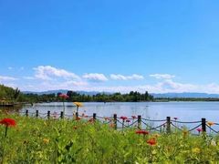 -野鸭湖国家湿地公园