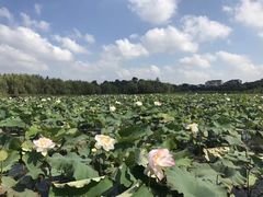 -长圻码头