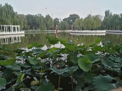 -丰台花园