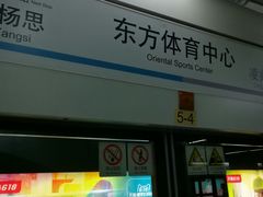 -东方体育中心(地铁站)