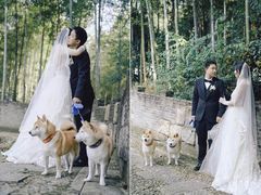 -怪咖·joker陈楠