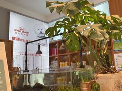 -可蒙动物医院·猫科·骨科中心(首义路店)