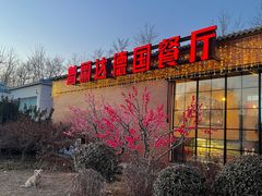 -普兰达德国餐厅·德式脆皮烤猪肘·自酿啤酒(观唐店)