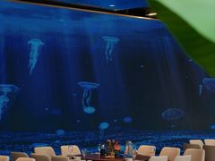 -驻海渔市(置信店)