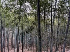 -陶祖圣境风景区