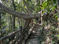 -海南热带雨林国家公园吊罗山景区