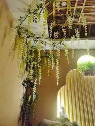 点击看大图 -永琪美容美发全国直营连锁