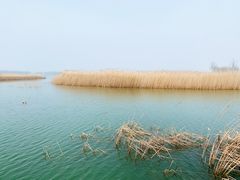-野鸭湖国家湿地公园