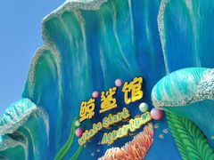 -珠海长隆海洋王国