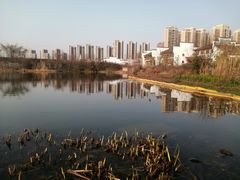 -洋湖国家湿地公园