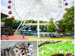 -常州淹城野生动物世界