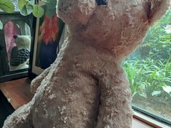 -咖法森林·咖啡  酒吧(天河店)