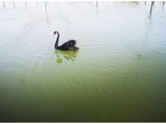 -鄱阳湖国家湿地公园