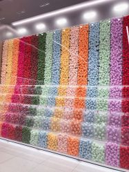 -THE COLORIST调色师