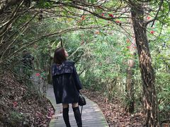-东部华侨城