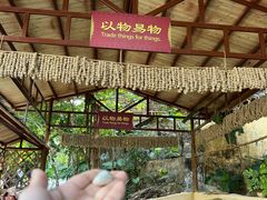 -海南槟榔谷黎苗文化旅游区