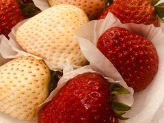 -胜丰草莓采摘园