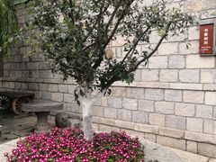 -百花洲