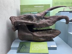 -云南省博物馆