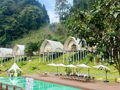 -江西阳明山国家森林公园