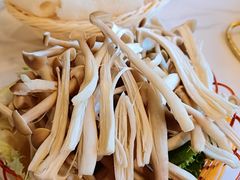 -菌海森林·非遗野生菌火锅(西山区滇池路摩根道店)
