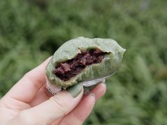 豆沙青团-江南春(中山中路店)
