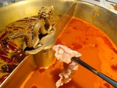 -小龙翻大江文化火锅(宽窄店)