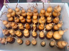 -中环花鸟鱼虫市场