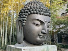 -杭州植物园