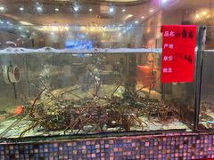 -巽寮印象美食部落餐厅·海鲜·地方特色菜(惠州体验店)