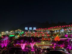 -枇杷园食为鲜火锅(南山店)