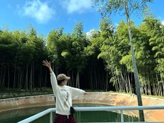 -泽雅景区