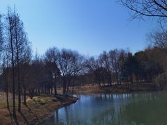 -贡湖湾湿地公园