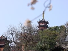 -鸡鸣赐茶(鸡鸣寺路店)