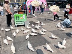 -江燕路万科里