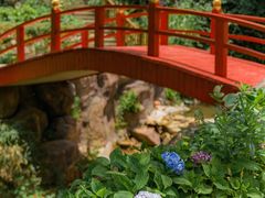 -鼓岭旅游度假区